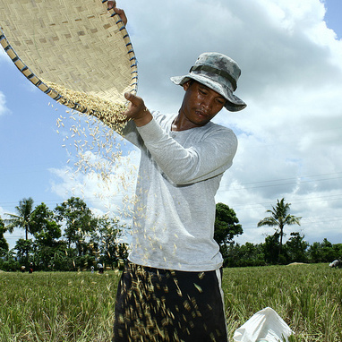 Man Harvesting - 2011 Annual Conference